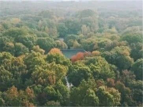 家居風(fēng)水雜談:影響家居健康的風(fēng)水?dāng)[設(shè)有哪些? 家居風(fēng)水雜談:影響家居健康的風(fēng)水?dāng)[設(shè)有哪些?