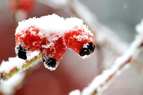 判斷財運(yùn)的關(guān)鍵 判斷財運(yùn)的關(guān)鍵